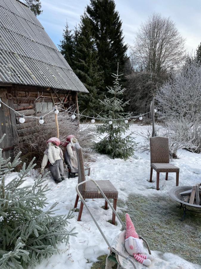 Vila Kaeaenu Puhkemaja Rakvere Exteriér fotografie