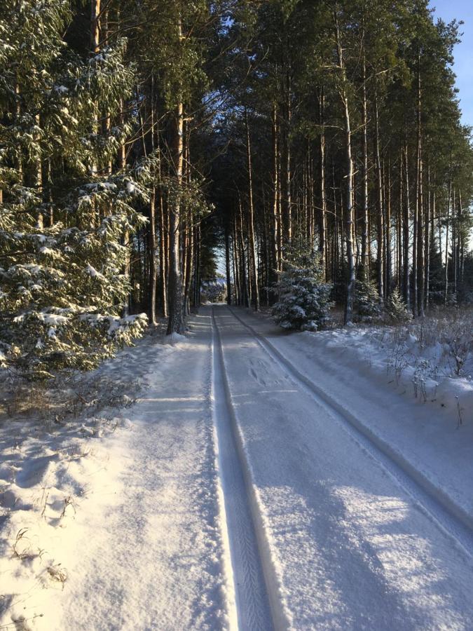 Vila Kaeaenu Puhkemaja Rakvere Exteriér fotografie